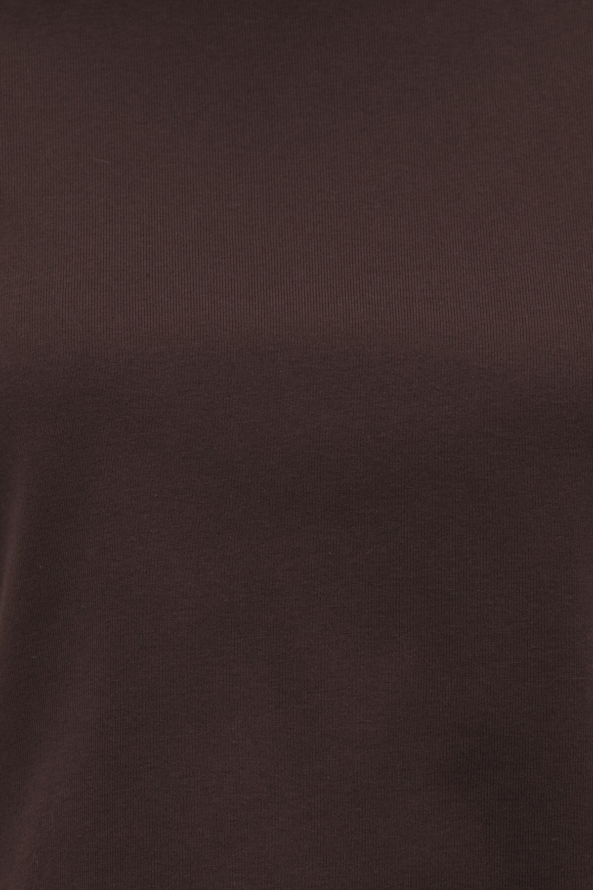 Dynamite Everyday Cotton T Shirt Brown