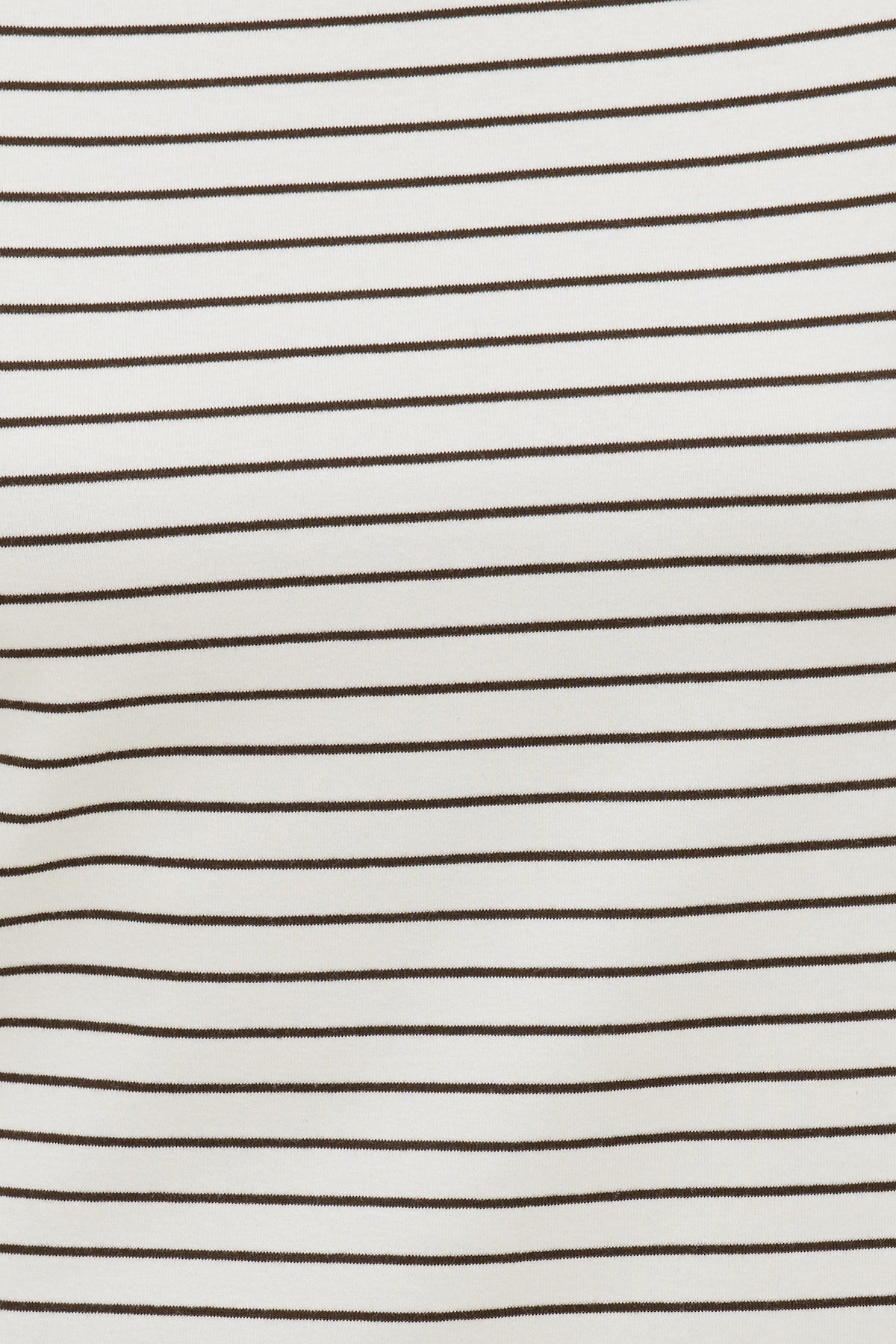 Dynamite Everyday Striped Heavy Cotton T Shirt Brown